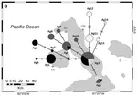 Fine-scale matrilineal population structure in the Galapagos fur seal and its implications for conservation management